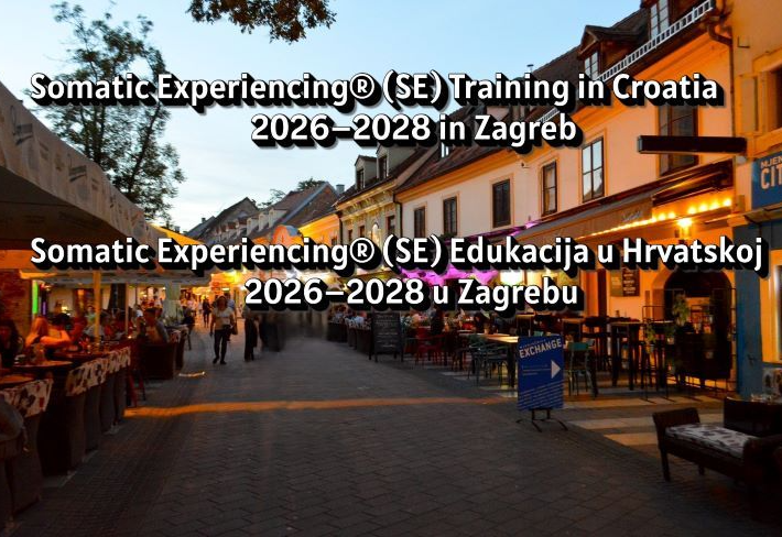 Naslovna slika: Edukacija "Profesionalni trening iz Somatic Experiencing® (SE)"