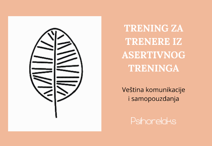 Naslovna slika: Edukacija "Trening za trenere iz asertivnog treninga"